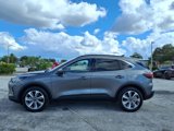 Used 2023 Ford Escape Platinum image 4