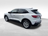 Used 2022 Ford Escape SE image 4