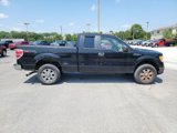 Used 2010 Ford F150 XLT image 6