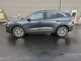 Used 2022 Ford Escape SE w/ Convenience Package image 4