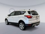 Used 2019 Ford Escape Titanium image 4