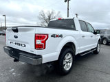 Used 2020 Ford F150 XLT w/ Equipment Group 302A Luxury image 6