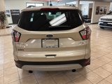 Used 2018 Ford Escape SE image 5