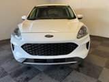 Used 2020 Ford Escape SE image 3