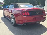 Used 2015 Ford Mustang Premium w/ Equipment Group 201A image 3