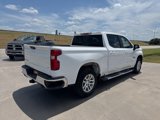 Used 2020 Chevrolet Silverado 1500 LT w/ Texas Edition image 5