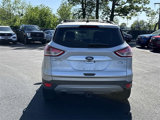 Used 2014 Ford Escape SE w/ Equipment Group 201A image 6