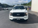 Certified 2023 Ford F150 XLT w/ Equipment Group 302A High image 2