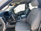 Used 2019 Ford F150 XLT w/ Equipment Group 302A Luxury image 2