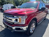 Certified 2019 Ford F150 XLT w/ Equipment Group 302A Luxury image 5