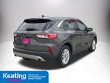 Used 2020 Ford Escape SE image 5