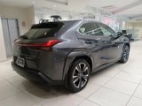 Certified 2022 Lexus UX 250h w/ Premium Package image 3