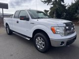 Used 2014 Ford F150 XLT w/ XLT Chrome Package image 3