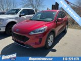 Used 2020 Ford Escape SE image 3