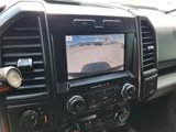 Used 2019 Ford F150 XL w/ Equipment Group 101A Mid image 4