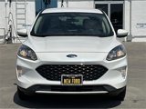 Used 2020 Ford Escape SEL image 2
