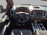 Used 2016 Ford F150 XLT w/ Equipment Group 302A Luxury image 4