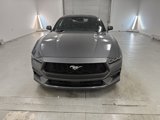 Used 2024 Ford Mustang Coupe image 2
