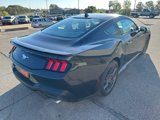 New 2024 Ford Mustang Coupe w/ 2.3L High Performance Package image 5