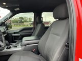Used 2019 Ford F150 XLT w/ Equipment Group 302A Luxury image 4