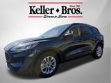 Used 2022 Ford Escape SE w/ Convenience Package image 3