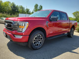 Certified 2021 Ford F150 XLT w/ Equipment Group 302A High image 5