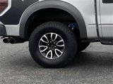Used 2014 Ford F150 Raptor w/ Equipment Group 801A Luxury image 3