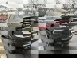 Used 2019 Dodge Charger SXT w/ Blacktop Package image 6