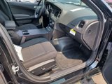 New 2023 Dodge Charger Police w/ Convenience Group I image 6