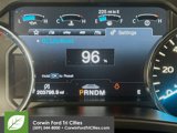 Used 2018 Ford F150 Platinum w/ Equipment Group 701A Luxury image 2