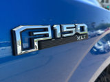 Used 2015 Ford F150 XLT w/ Equipment Group 301A Mid image 5