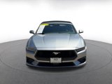 Used 2024 Ford Mustang Premium image 4