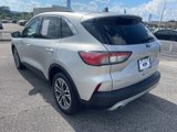 Used 2020 Ford Escape SEL image 3