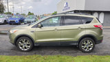 Used 2013 Ford Escape SEL image 3