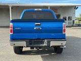 Used 2013 Ford F150 XLT image 6