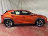 Used 2020 Lexus UX 250h w/ Premium Package image 3