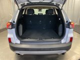 Used 2020 Ford Escape SE image 6