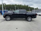 New 2024 Ford Ranger XLT w/ Equipment Group 301A High image 5