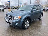 Used 2010 Ford Escape Limited image 4