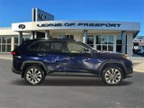 Used 2019 Toyota RAV4 Limited image 4