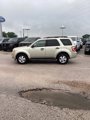 Used 2011 Ford Escape XLT w/ 202A Rapid Spec Order Code image 2