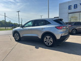 Used 2022 Ford Escape SEL image 5