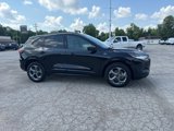 Used 2024 Ford Escape ST-Line image 4