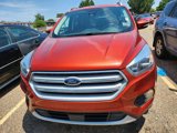 Used 2019 Ford Escape Titanium image 3