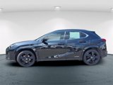 Used 2021 Lexus UX 250h w/ Premium Package image 4