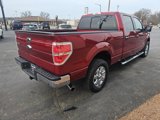 Used 2013 Ford F150 XLT w/ Luxury Equipment Group image 6