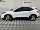 Used 2022 Ford Escape SE image 3