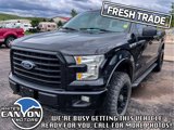 Used 2015 Ford F150 XLT w/ Equipment Group 302A Luxury image 3