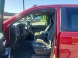 Used 2019 Chevrolet Silverado 1500 LT w/ All-Star Edition image 6