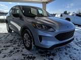 Used 2022 Ford Escape SE image 3